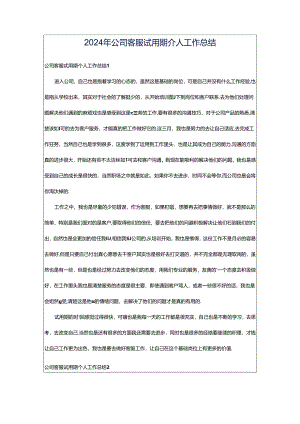 2024年公司客服试用期个人工作总结.docx