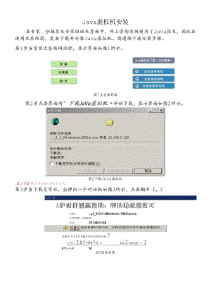 Java虚拟机安装.docx