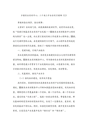 乡镇农业农村中心：二十届三中全会发言提纲（1）.docx