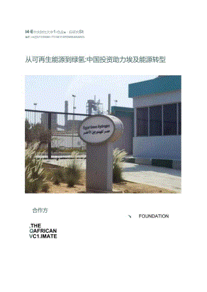 20240406从可再生能源到绿氢.docx