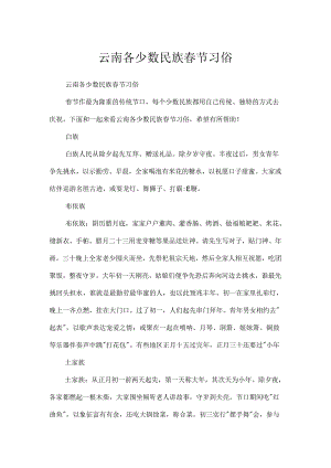 云南各少数民族春节习俗.docx