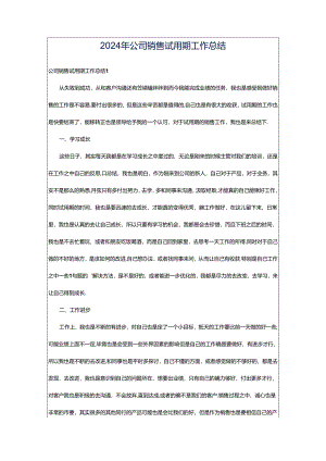 2024年公司销售试用期工作总结.docx