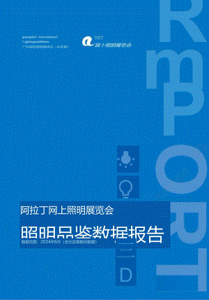 2024照明品鉴数据报告-46正式版.docx