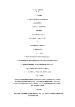 20000吨镁合金项目可研报告.docx