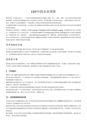 ERP中的企业预算.docx