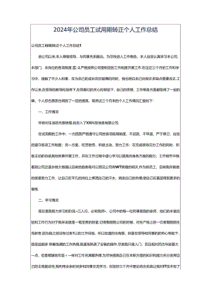 2024年公司员工试用期转正个人工作总结.docx