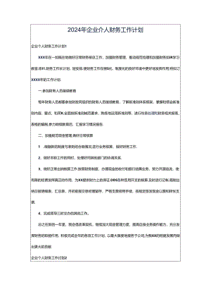 2024年企业个人财务工作计划.docx