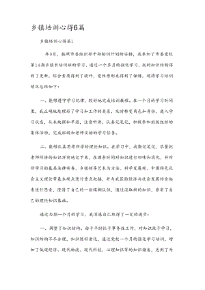 乡镇培训心得6篇.docx