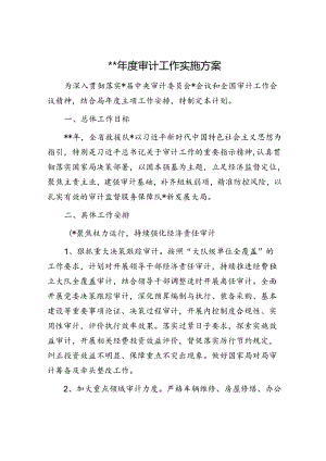 2024年度审计工作实施方案.docx