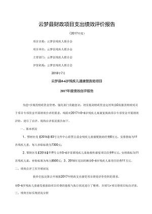云梦财政项目支出绩效评价报告.docx