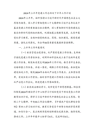2024年上半年党建工作总结及下半年工作计划.docx