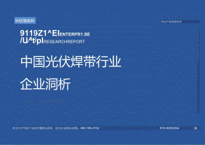 2024年中国光伏焊带行业企业洞析报告-华经产业研究院-32正式版.docx