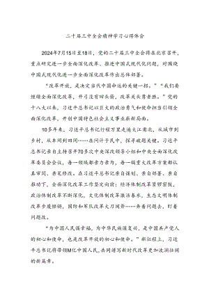 二十届三中全会精神学习心得体会.docx