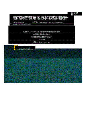 2024年度中国主要城市道路网密度与运行状态监测报告.docx