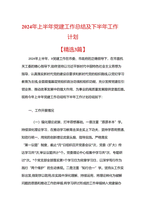 2024年上半年党建工作总结及下半年工作计划.docx