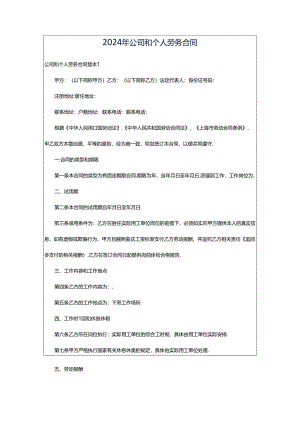 2024年公司和个人劳务合同.docx