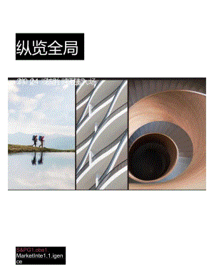 2024年并购展望：停止观望、积极入场-10正式版.docx
