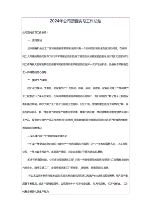 2024年公司顶岗实习工作总结.docx