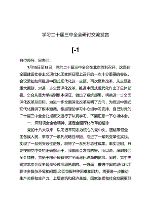 (八篇)学习二十届三中全会研讨交流发言.docx