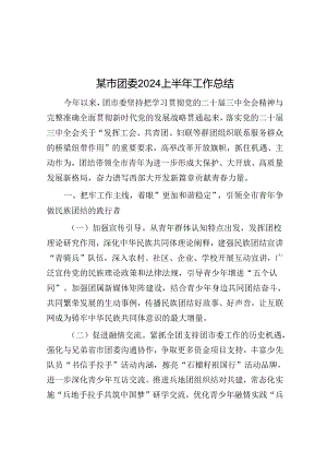 2024上半年工作总结（团市委）.docx