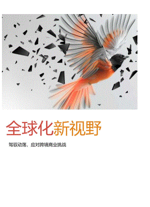 2024年全球商业复杂性指数：全球化新视野-TMFGroup-2024.docx