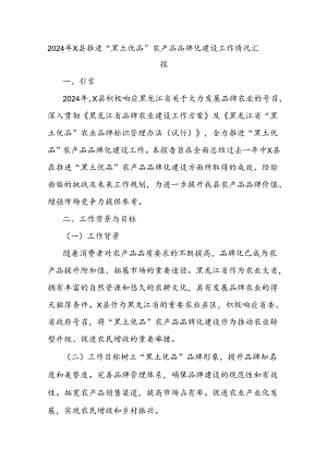 2024年X县推进“黑土优品”农产品品牌化建设工作情况汇报.docx