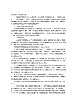 产业化工作总结.docx