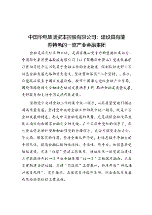 中国华电集团资本控股有限公司：建设具有能源特色的一流产业金融集团.docx