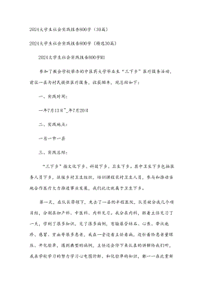 2024大学生社会实践报告800字（30篇）.docx