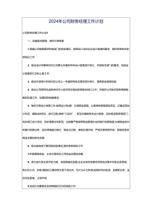 2024年公司财务经理工作计划.docx