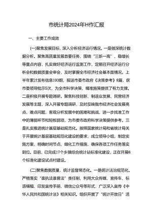 2024年工作汇报（统计局）.docx