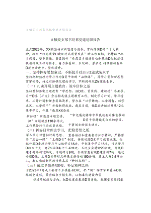 乡镇党支部书记抓党建述职报告.docx