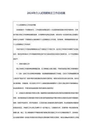 2024年个人试用期转正工作总结篇.docx
