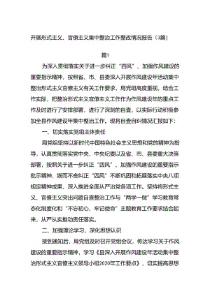 (3篇)开展形式主义、官僚主义集中整治工作整改情况报告.docx