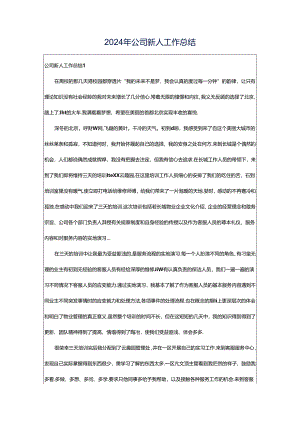 2024年公司新人工作总结.docx