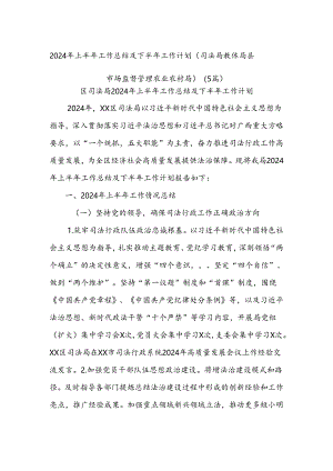 (5篇)2024年上半年工作总结及下半年工作计划（司法局教体局县市场监督管理农业农村局）.docx