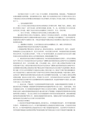 依法行政突出问题治理工作总结.docx