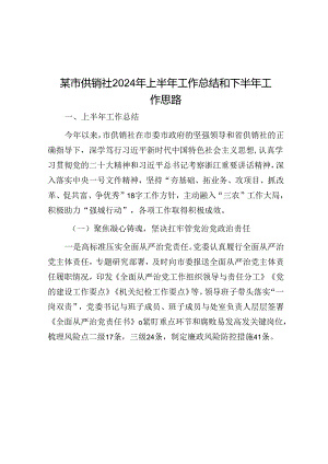 2024年上半年工作总结和下半年工作思路（供销社）.docx