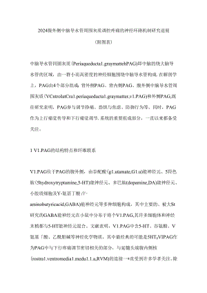 2024腹外侧中脑导水管周围灰质调控疼痛的神经环路机制研究进展（附图表）.docx