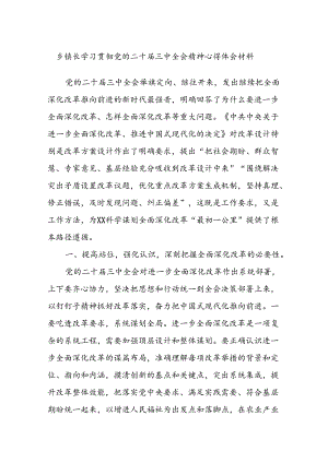 乡镇长学习贯彻党的二十届三中全会精神心得体会材料.docx