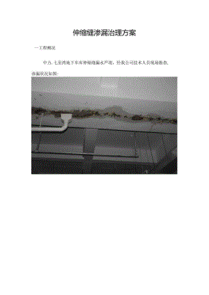 伸缩缝渗漏治理方案.docx