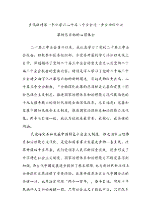 乡镇驻村第一书记学习二十届三中全会进一步全面深化改革的总目标的心得体会.docx