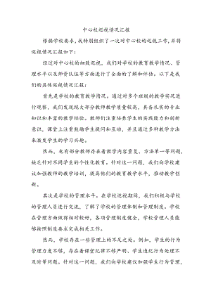 中心校巡视情况汇报.docx
