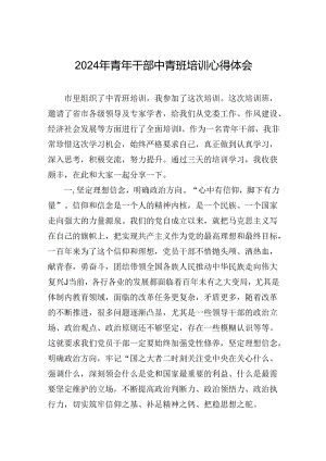 2024年青年干部中青班培训心得体会.docx