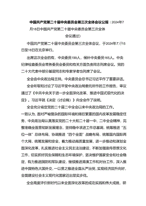 二十届三中全会公报学习贯彻三中全会精神党课讲稿.docx