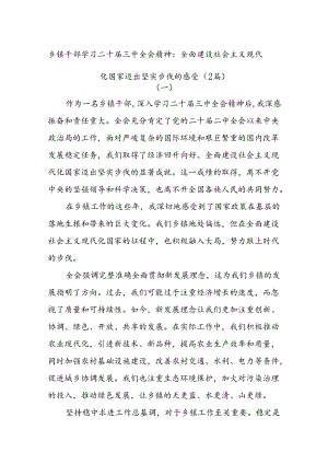 (2篇)乡镇干部学习二十届三中全会精神：全面建设社会主义现代化国家迈出坚实步伐的感受.docx