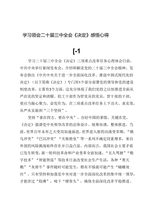 (五篇)学习领会二十届三中全会《决定》感悟心得.docx