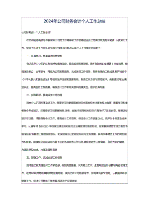 2024年公司财务会计个人工作总结.docx