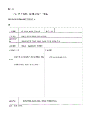 2023年新科教版六年级科学下册实验报告单.docx