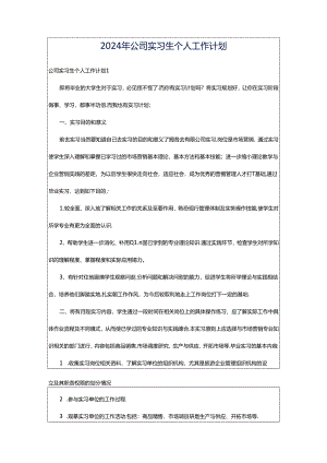 2024年公司实习生个人工作计划.docx
